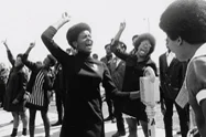 Black Panthers