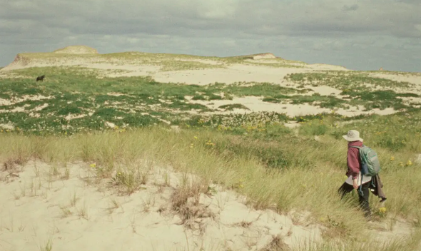 GEOGRAPHIES OF SOLITUDE by Jacquelyn Mills