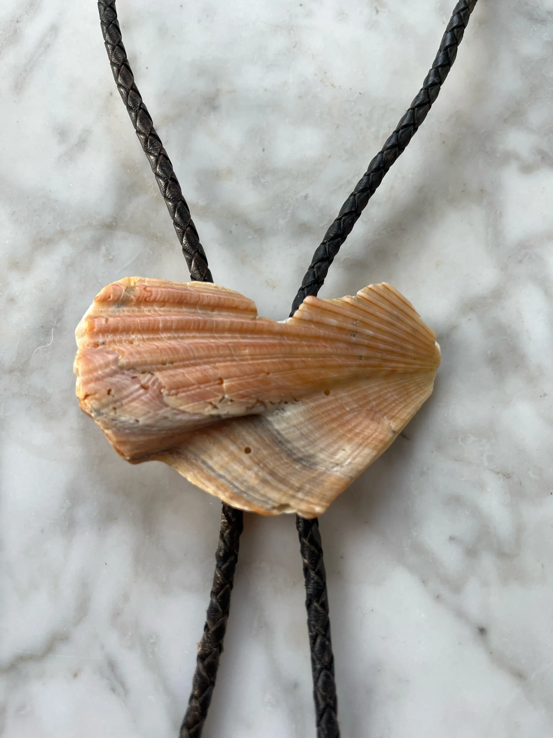 F3EAF9F3-39B2-4C31-9BC1-8E9EB11F354A