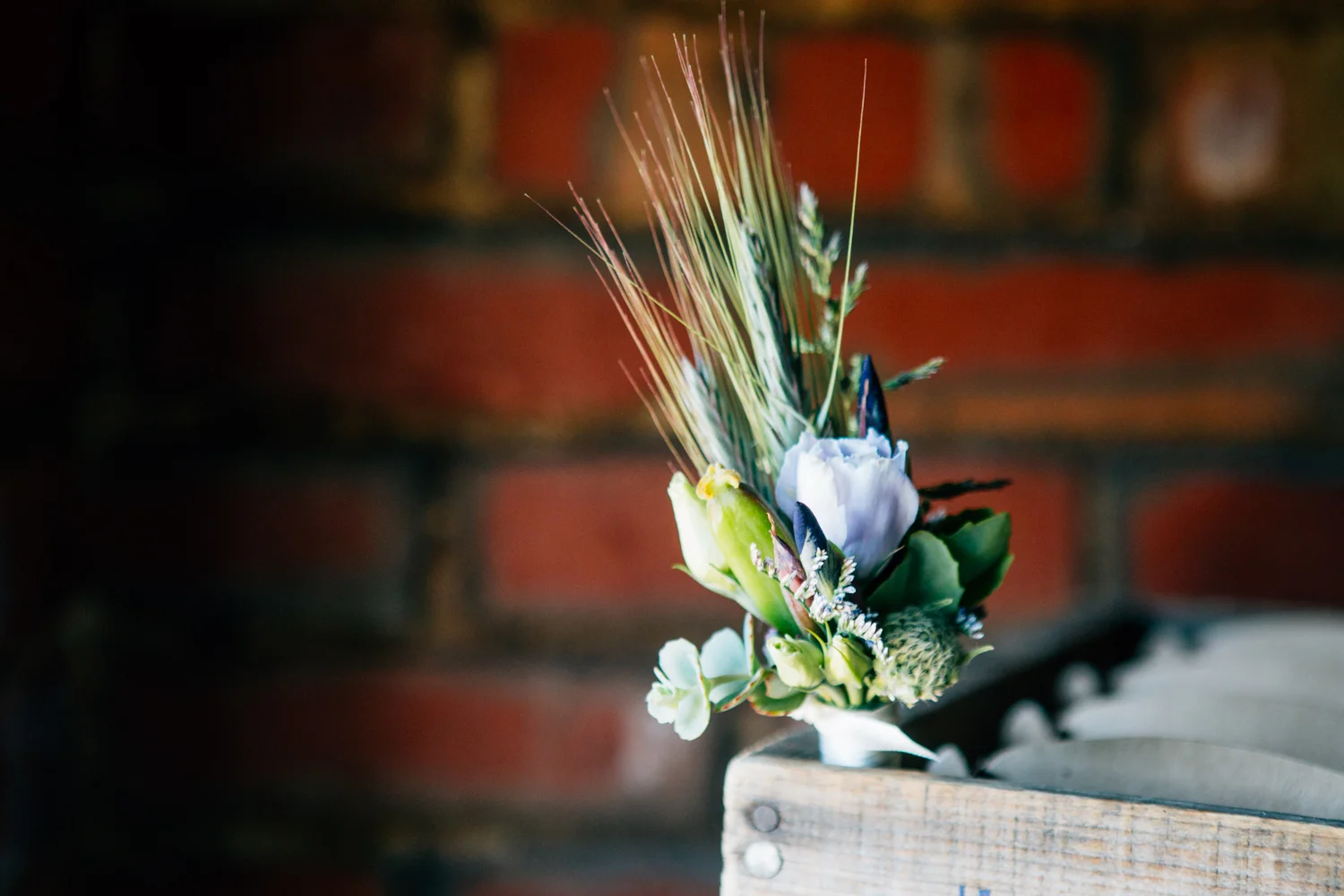 Photo by Cait Bourgault Photography