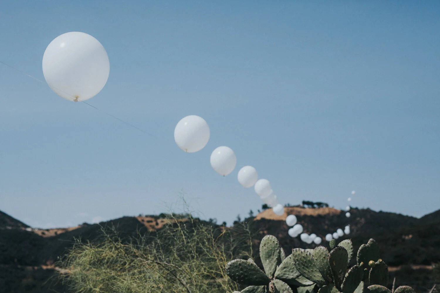 Heatherly Event & Floral Design