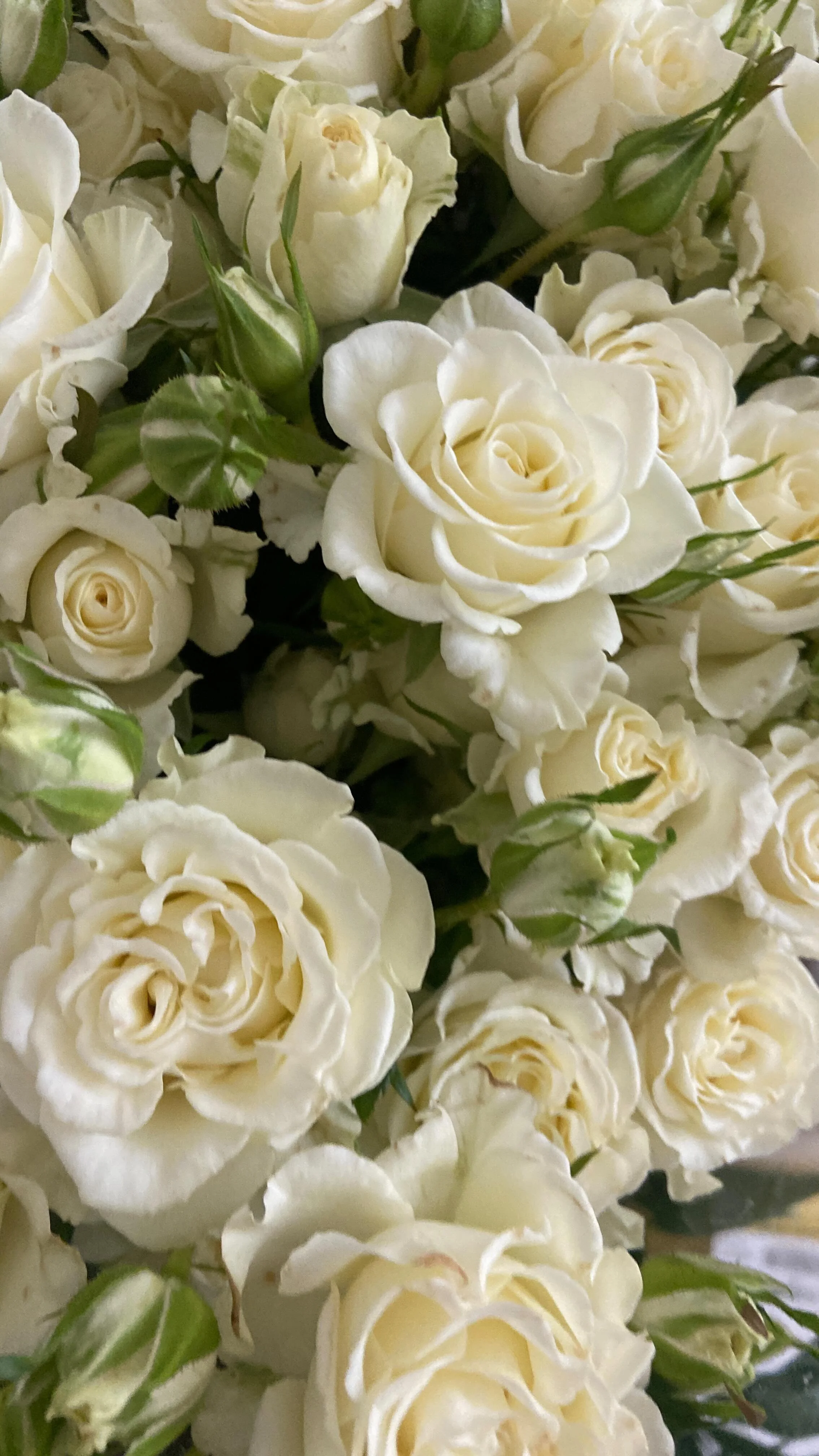 Heatherly Event & Floral Design