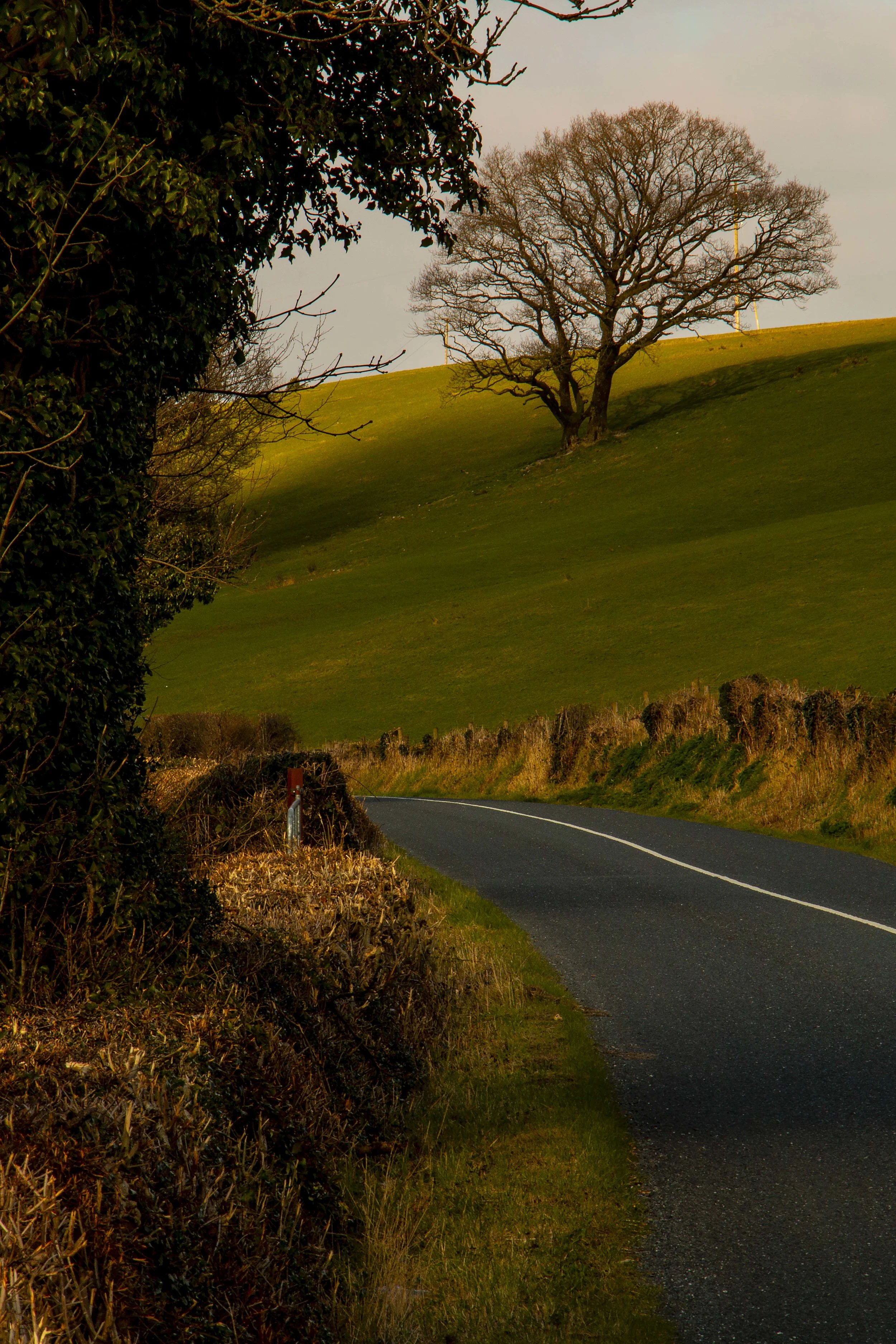 Irishroad1b.jpg