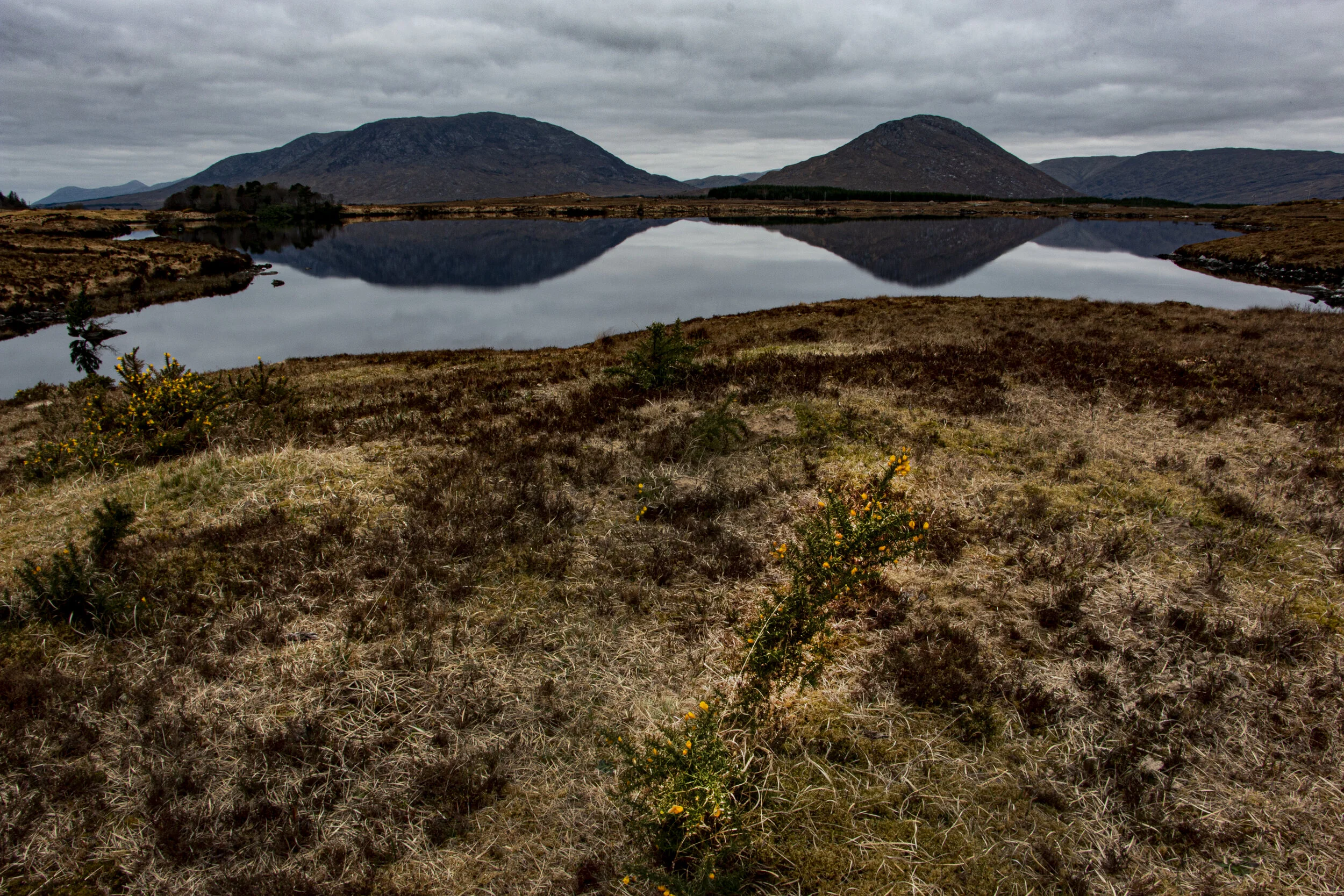 IrelandLakeVista.jpg