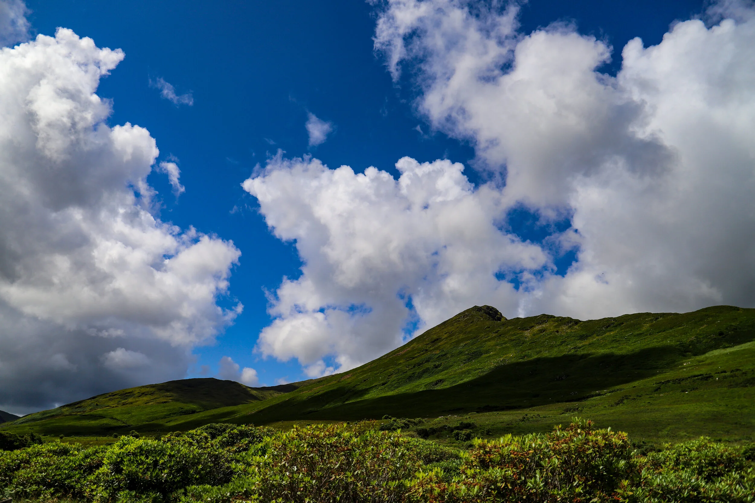VividIrishlandscape.jpg