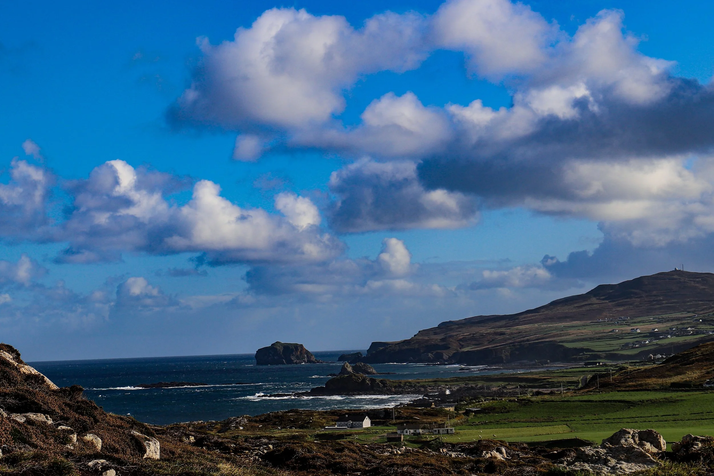 MalinHead.jpg