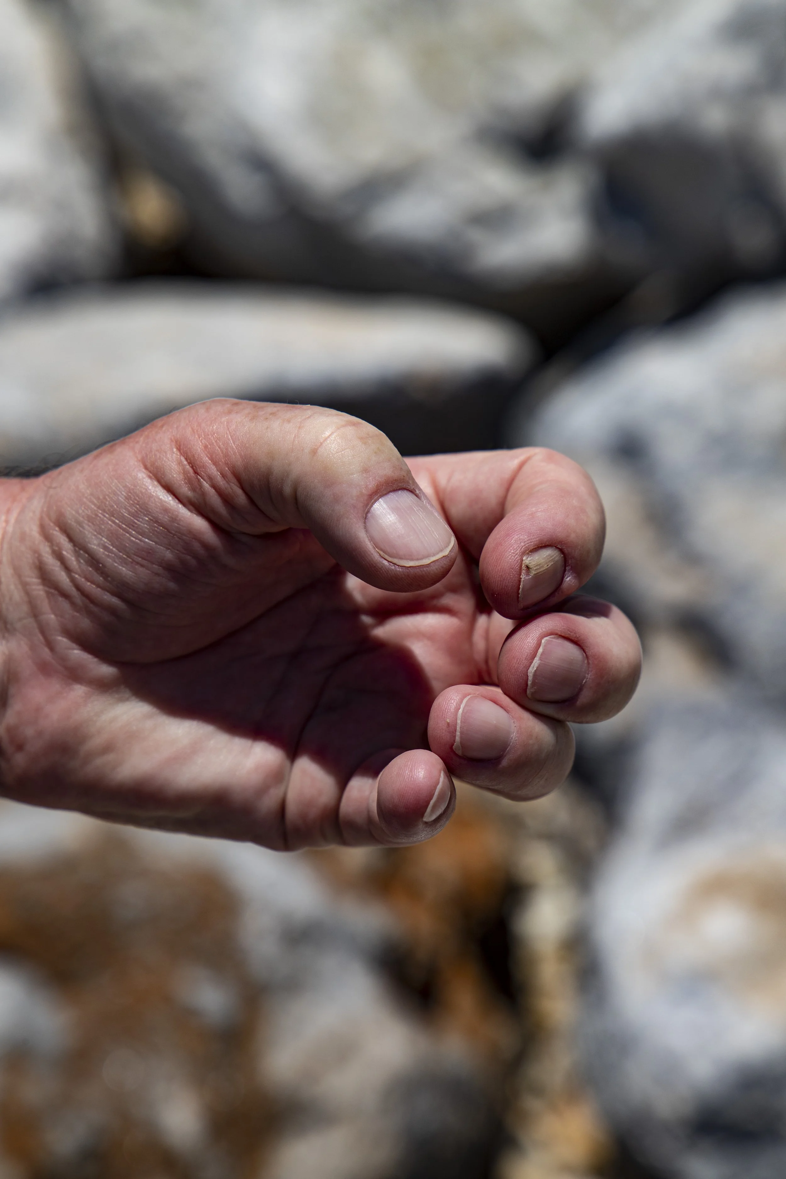 BAD TURN Fist Clenced True .jpg