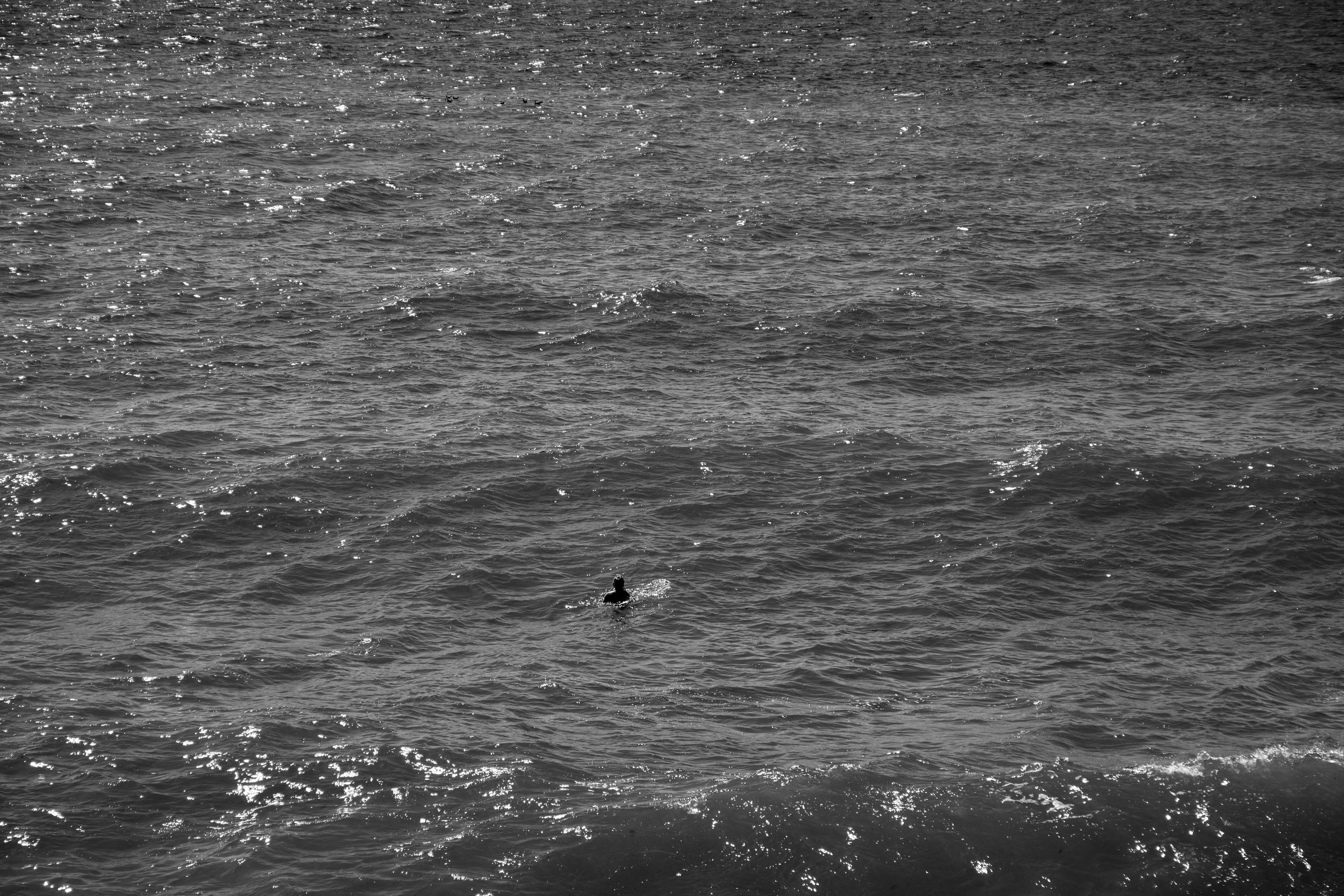 Solitary Women Swimmer in Ocean.jpg