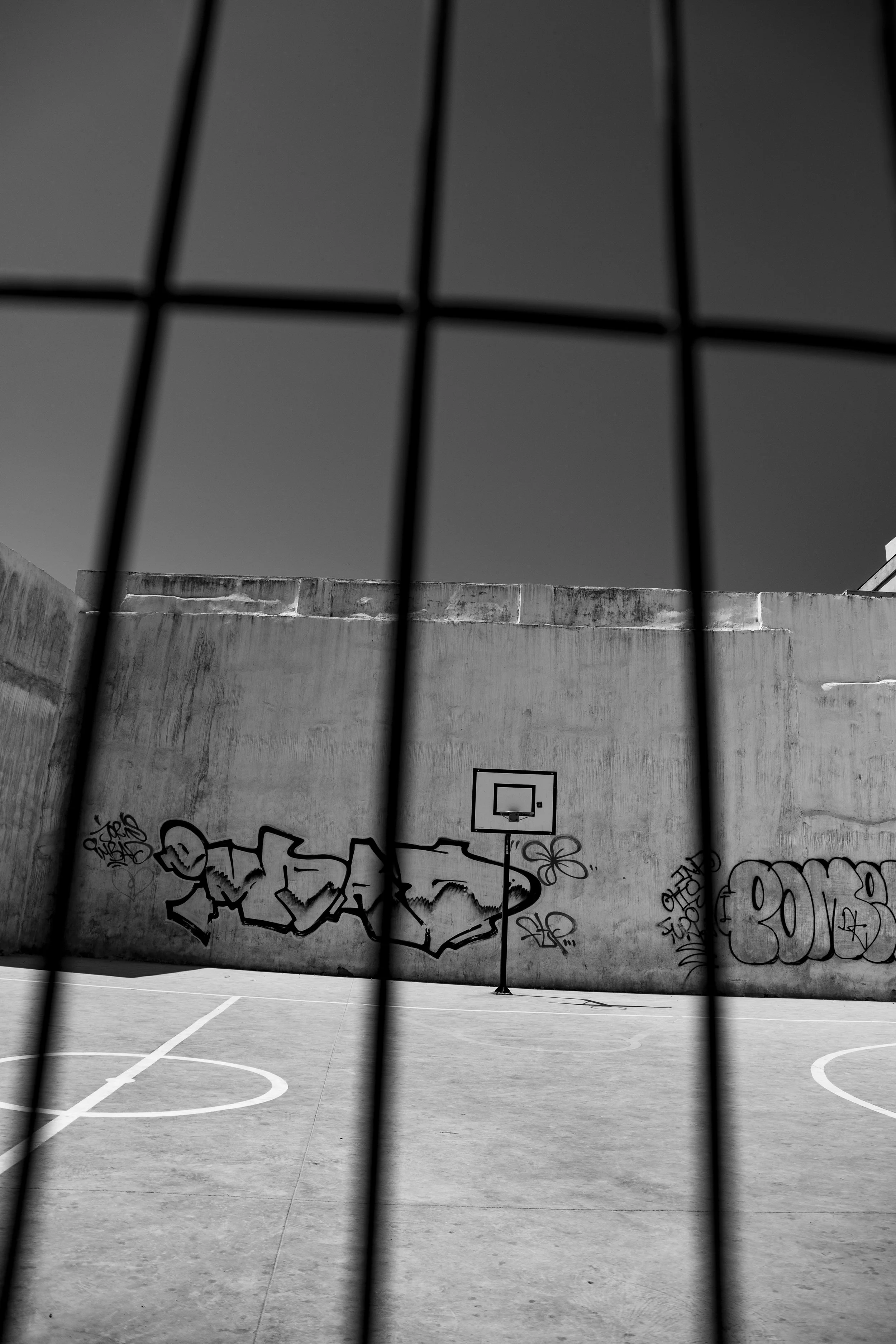 BasketBall Ring in black and white.jpg