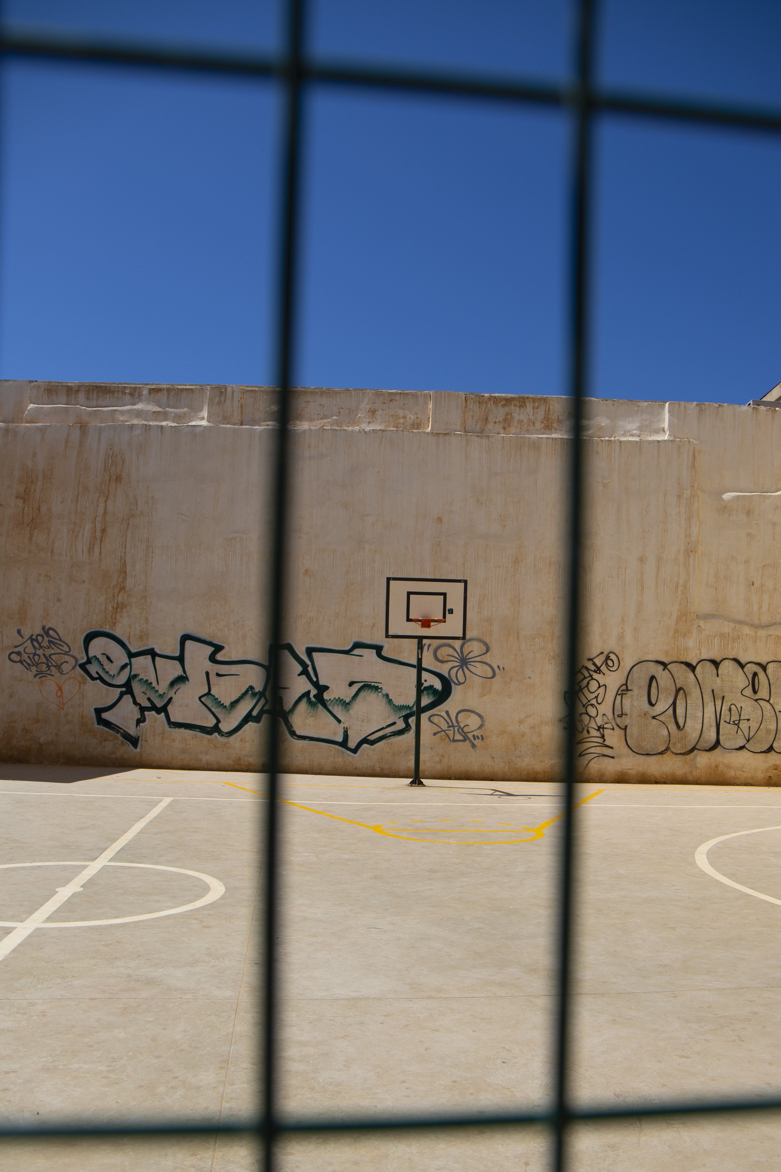 Basketball Ring in Colour.jpg