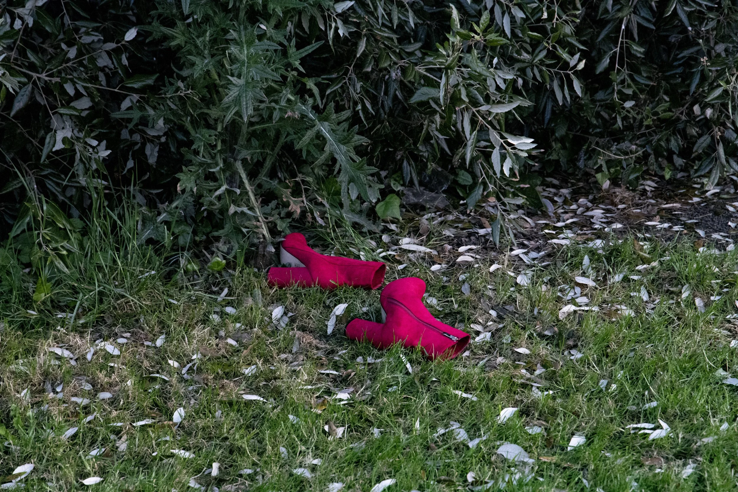 Wrong Horses Shoes .jpg