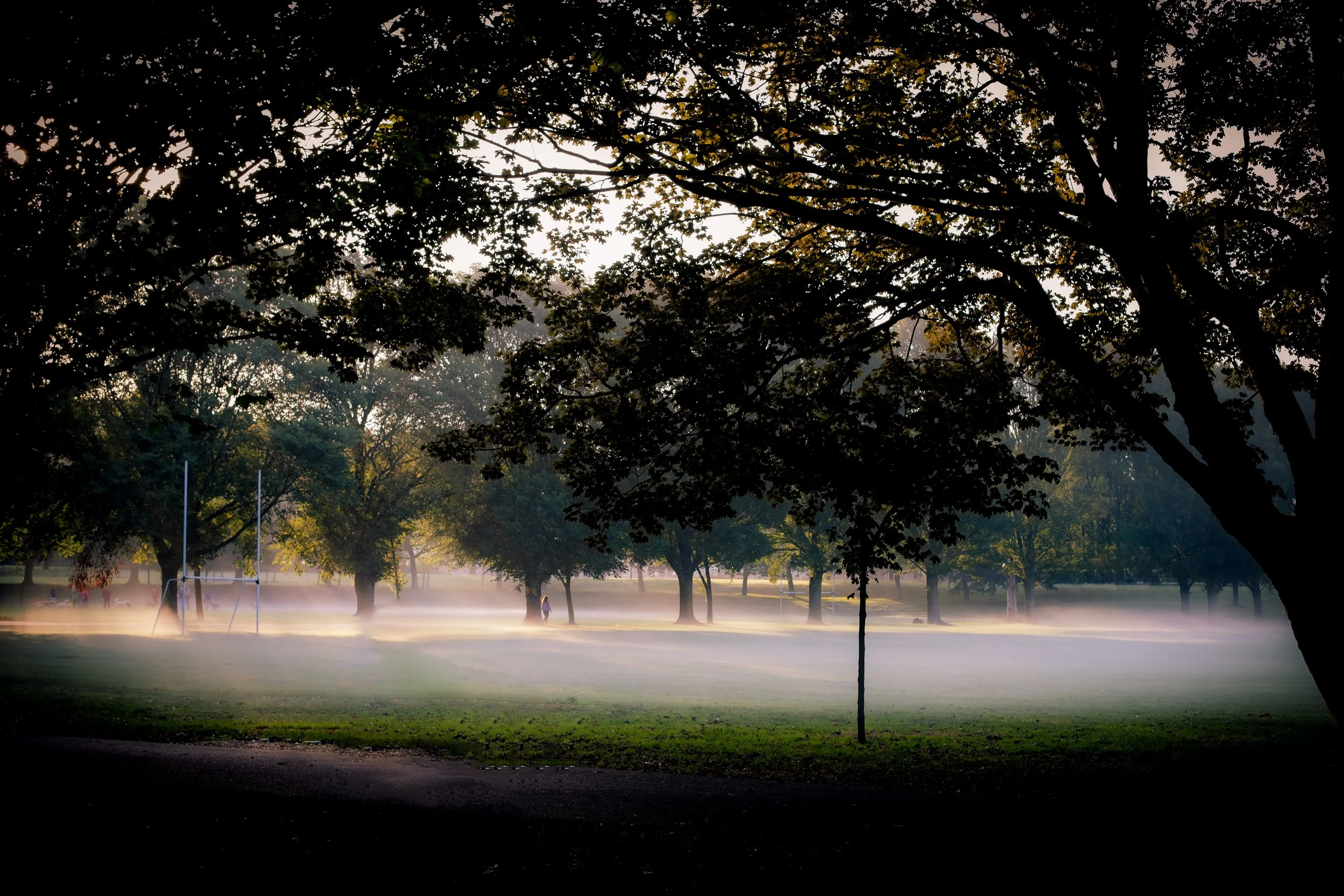 Fairview Morning September 2024 copy.jpg
