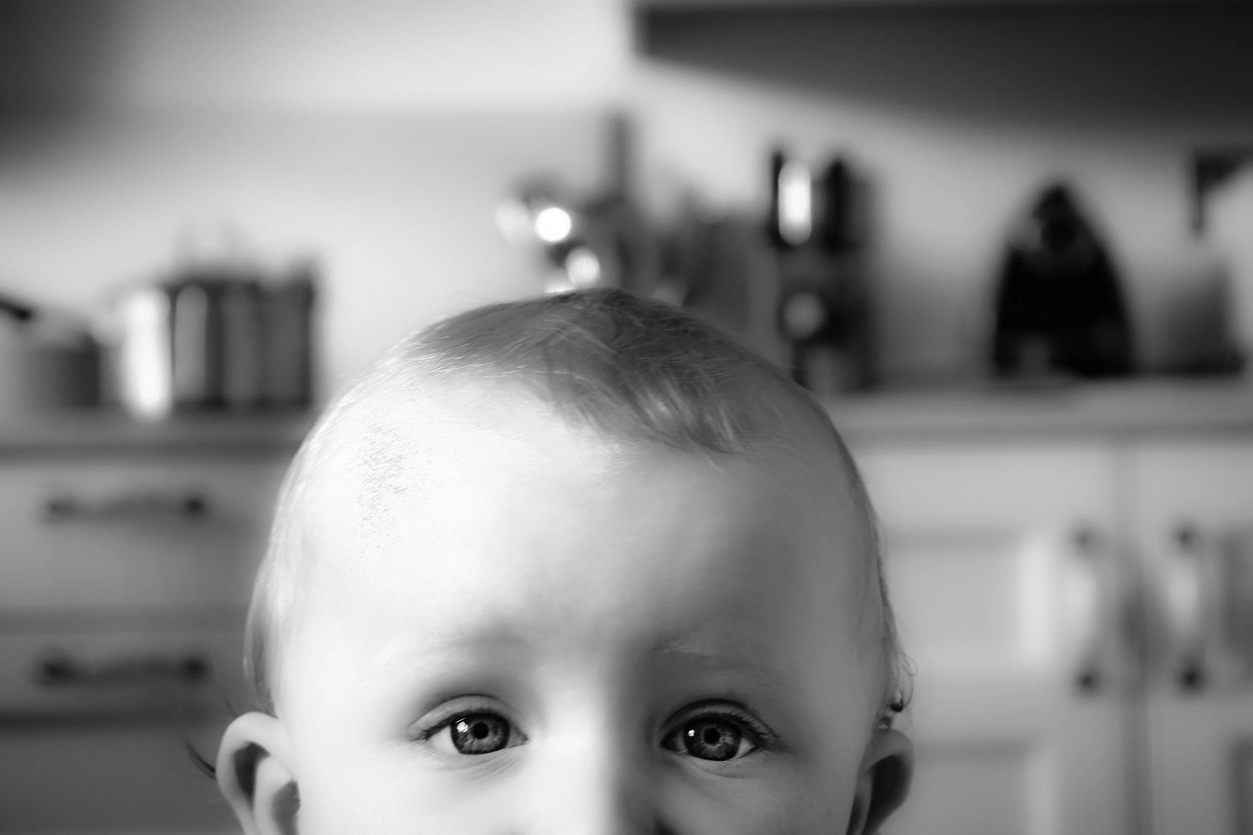 Dylan 1 2025 copy.jpg