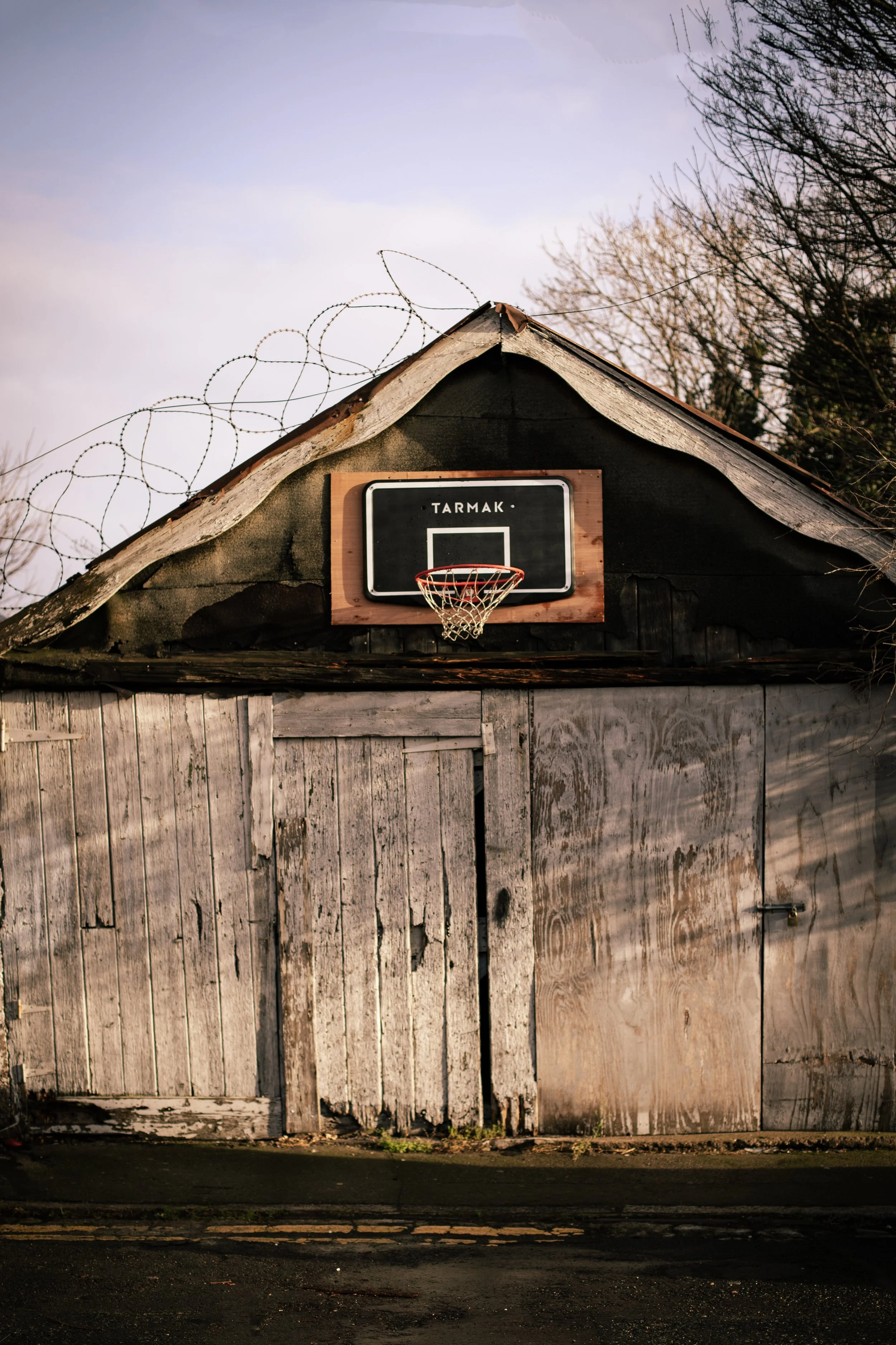 Basketball Shed Ireland copy.jpg