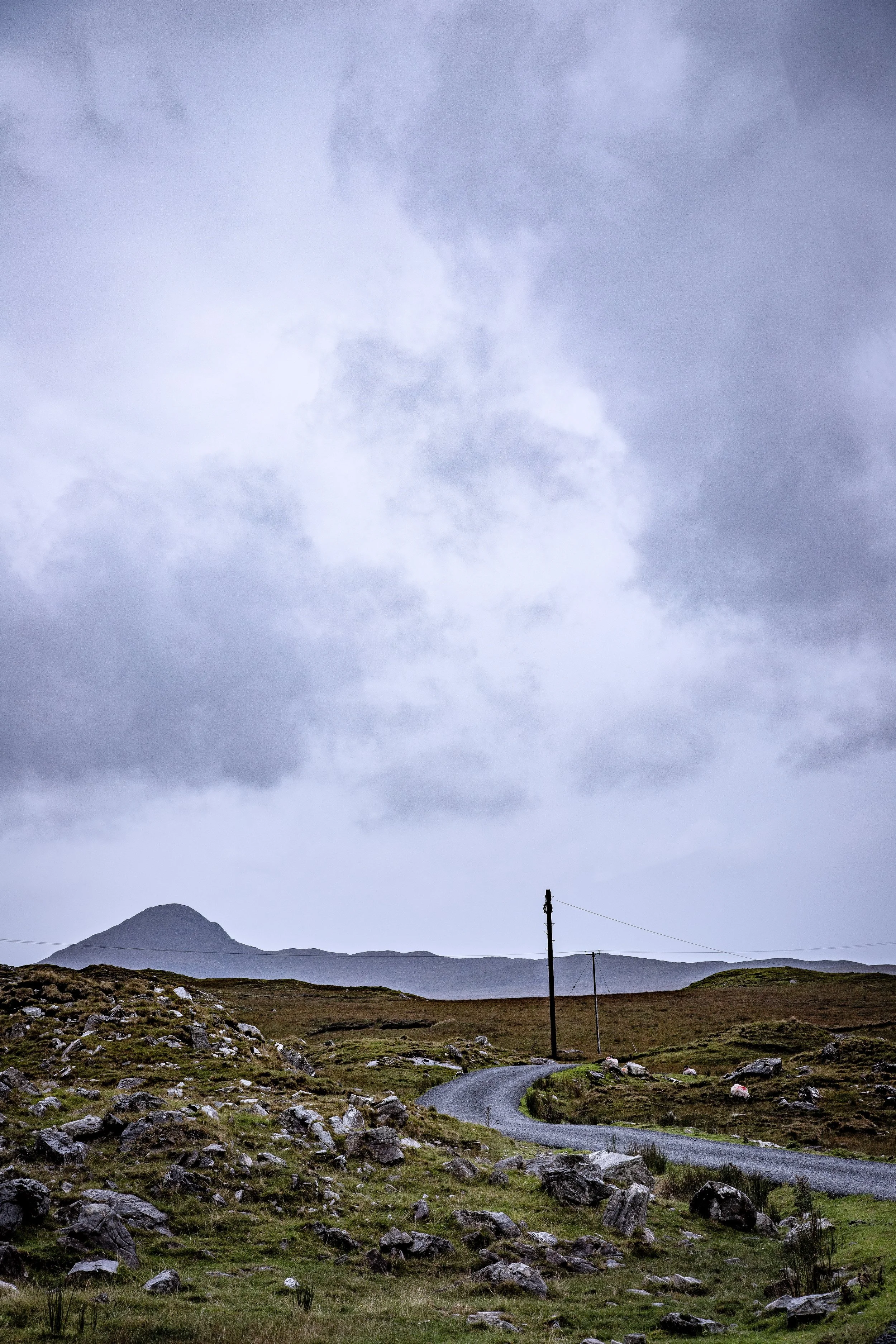 Clifden Landscpe 1 2025 smaller file.jpg