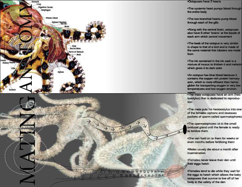 scraper Cards 34.jpg