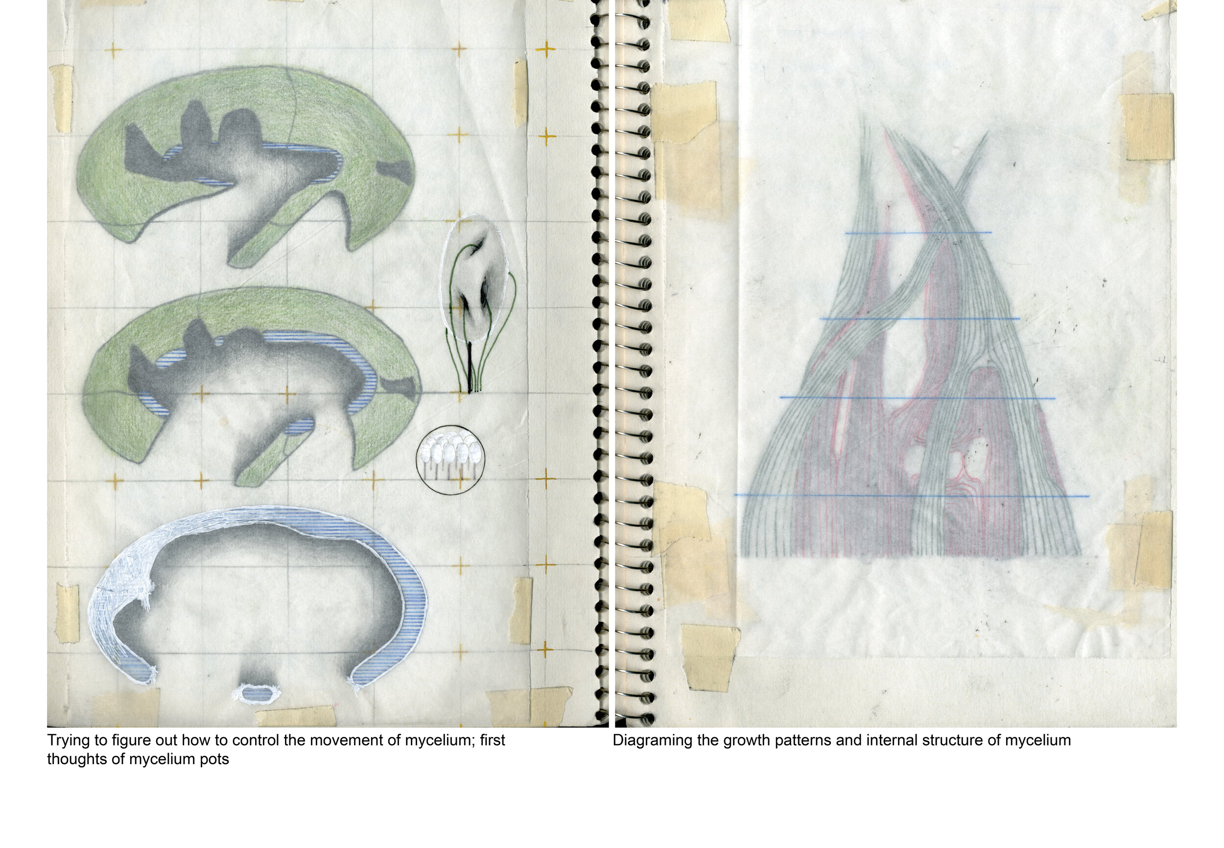 Thesis Book10.jpg