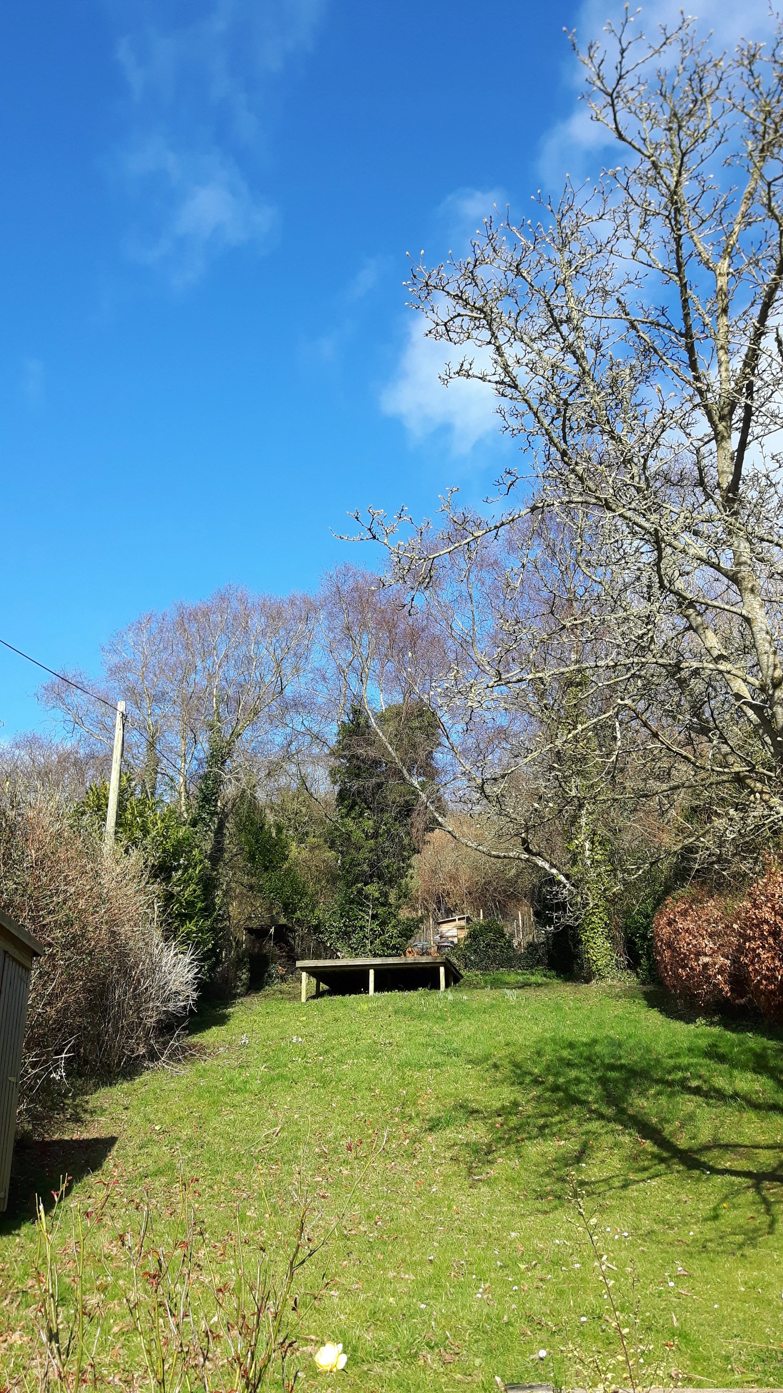 Garden in the cottage in Combe Martin