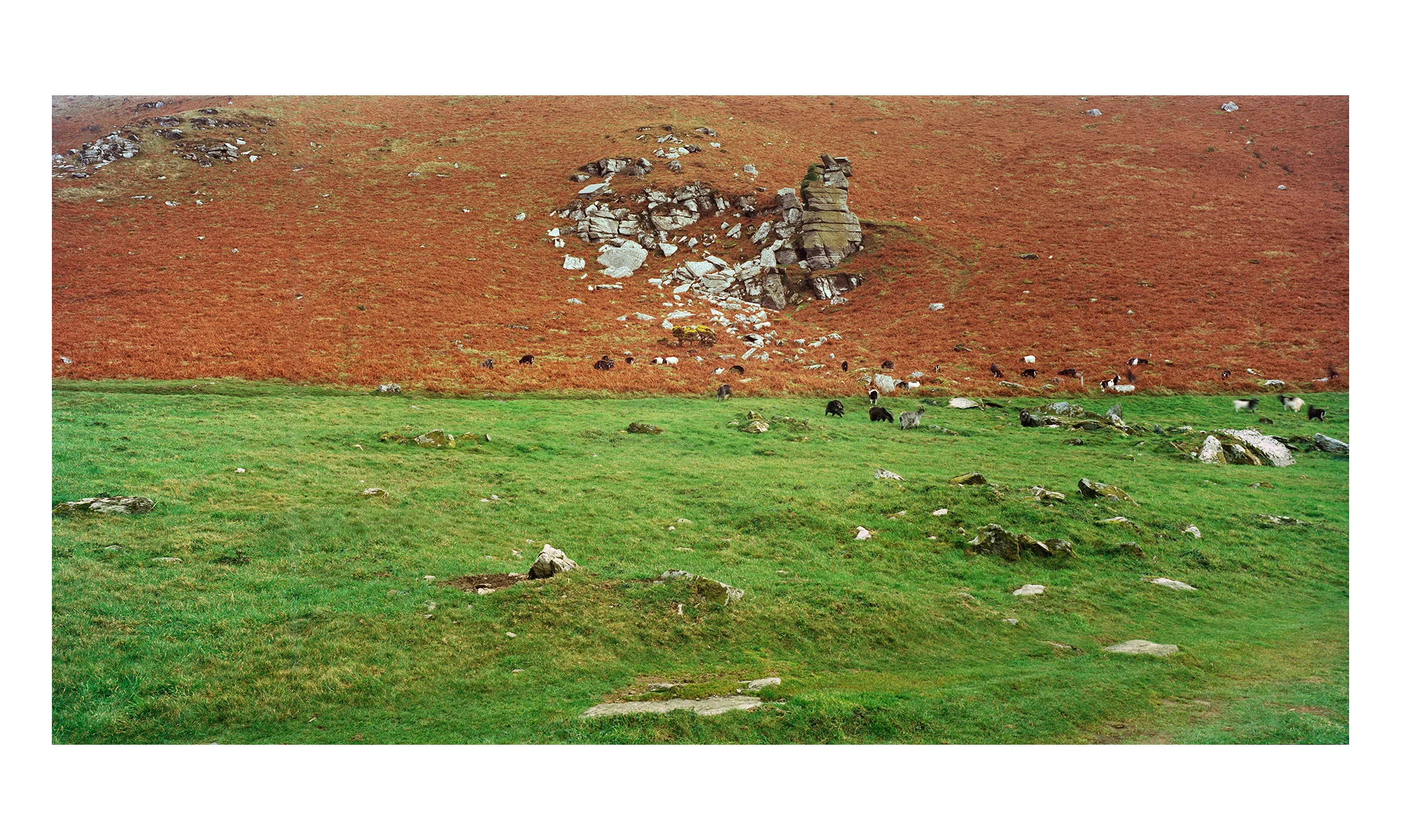 valley_of_the_rocks.jpg