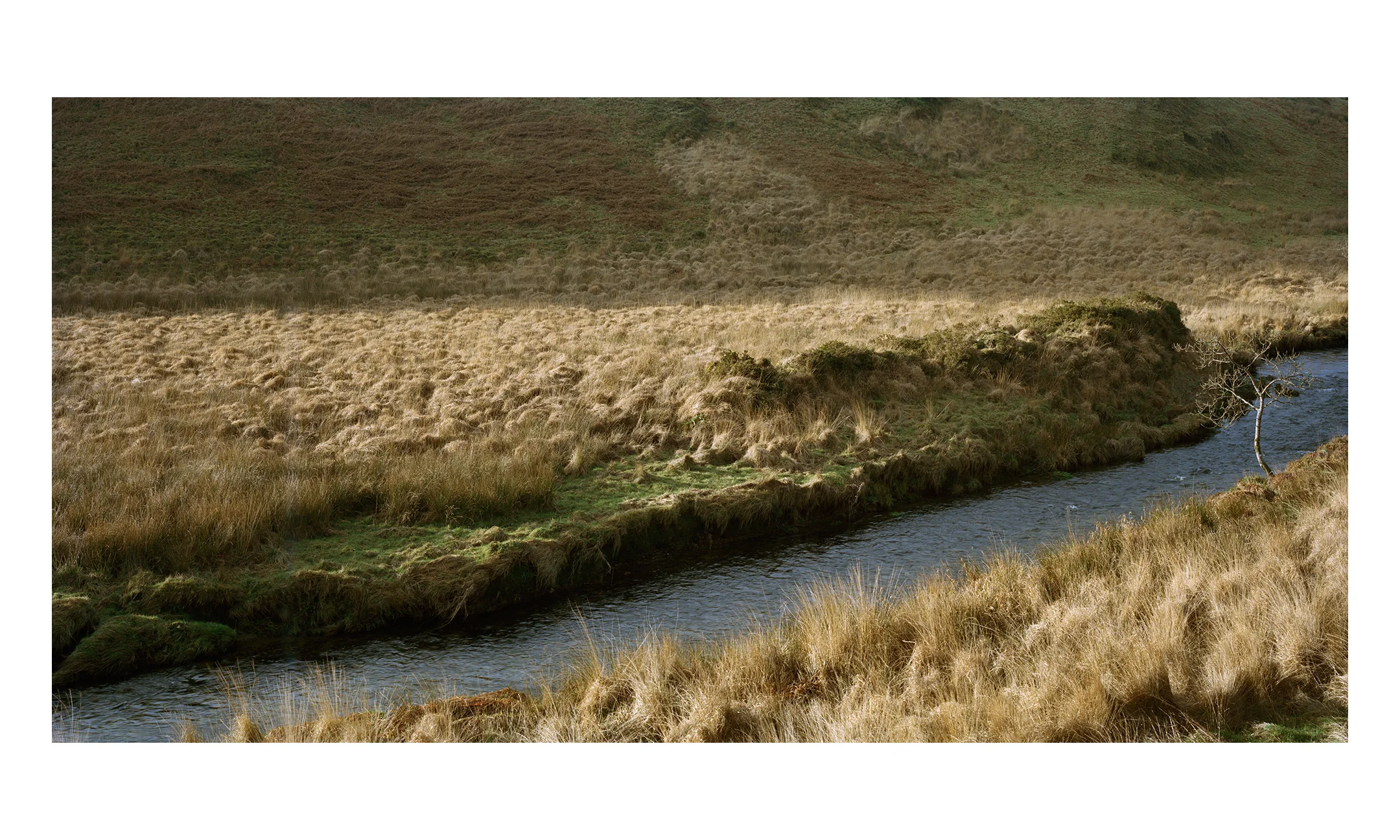 barle_river_simonsbath.jpg