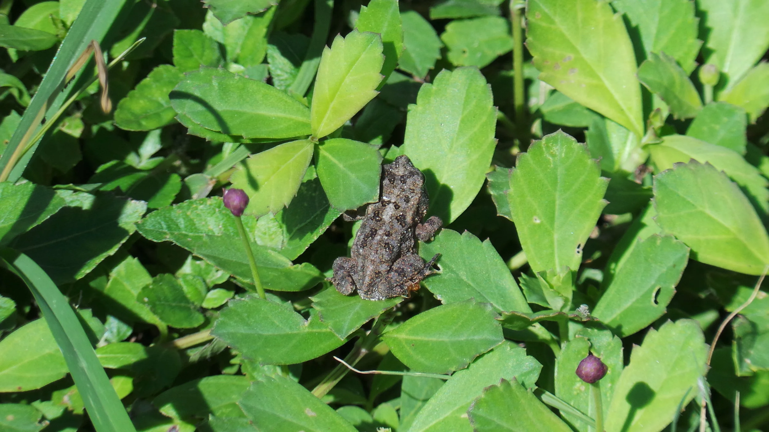 20120125_173157.JPG