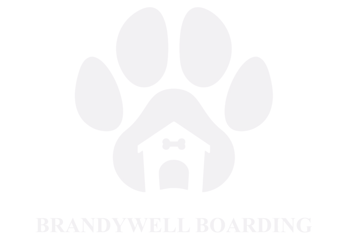 Brandywell Boarding - Edited.png