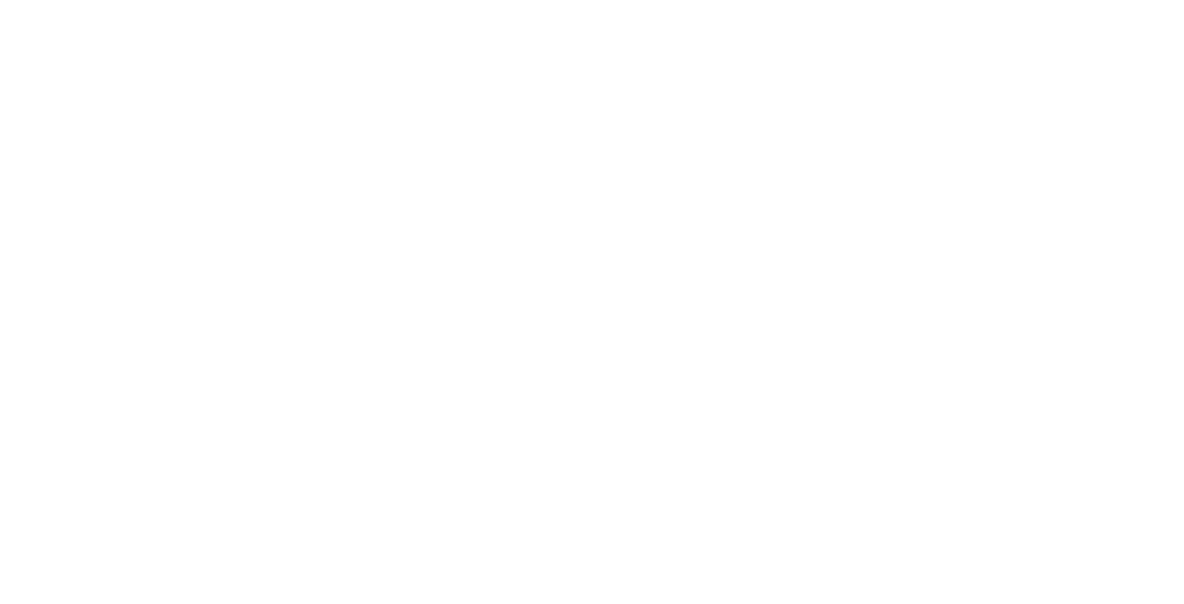 S+N Logo - Edited - Edited.png
