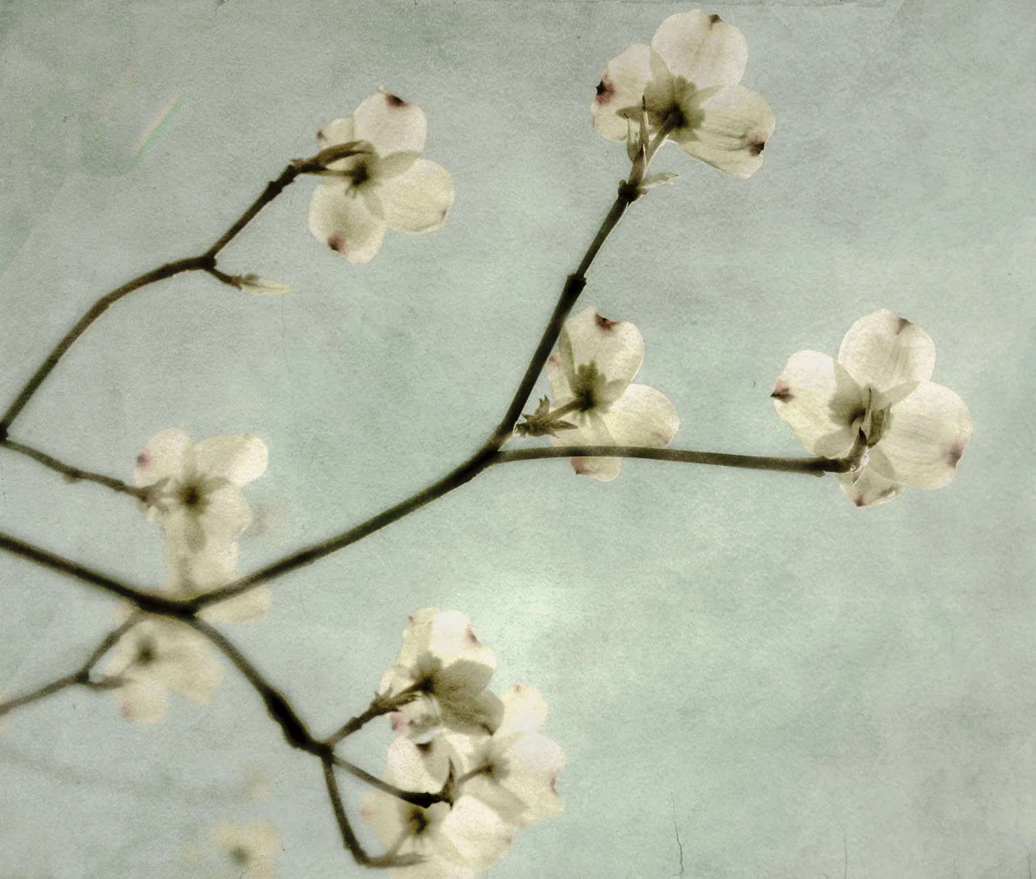 03 mar 06 09-Edit-Edit.jpg