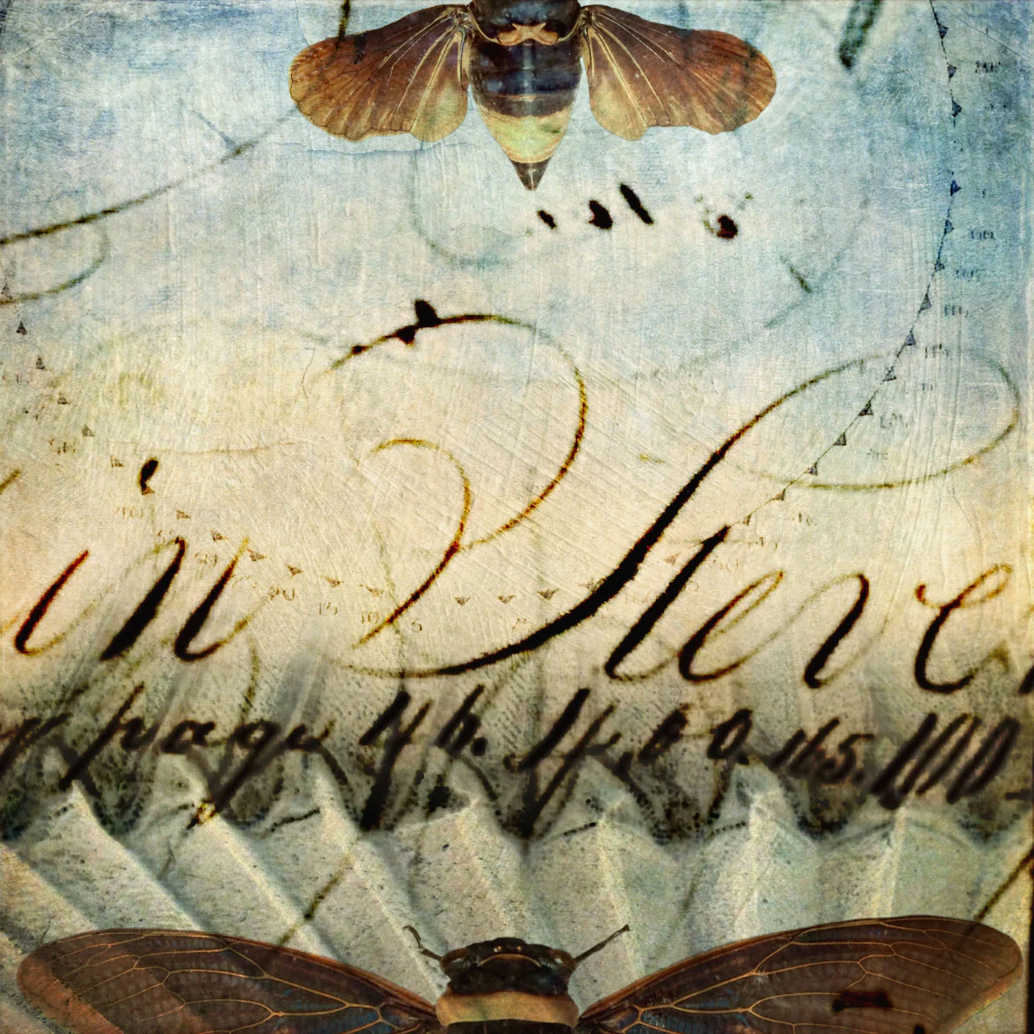 01 jan 19 2015_winged flight.jpg
