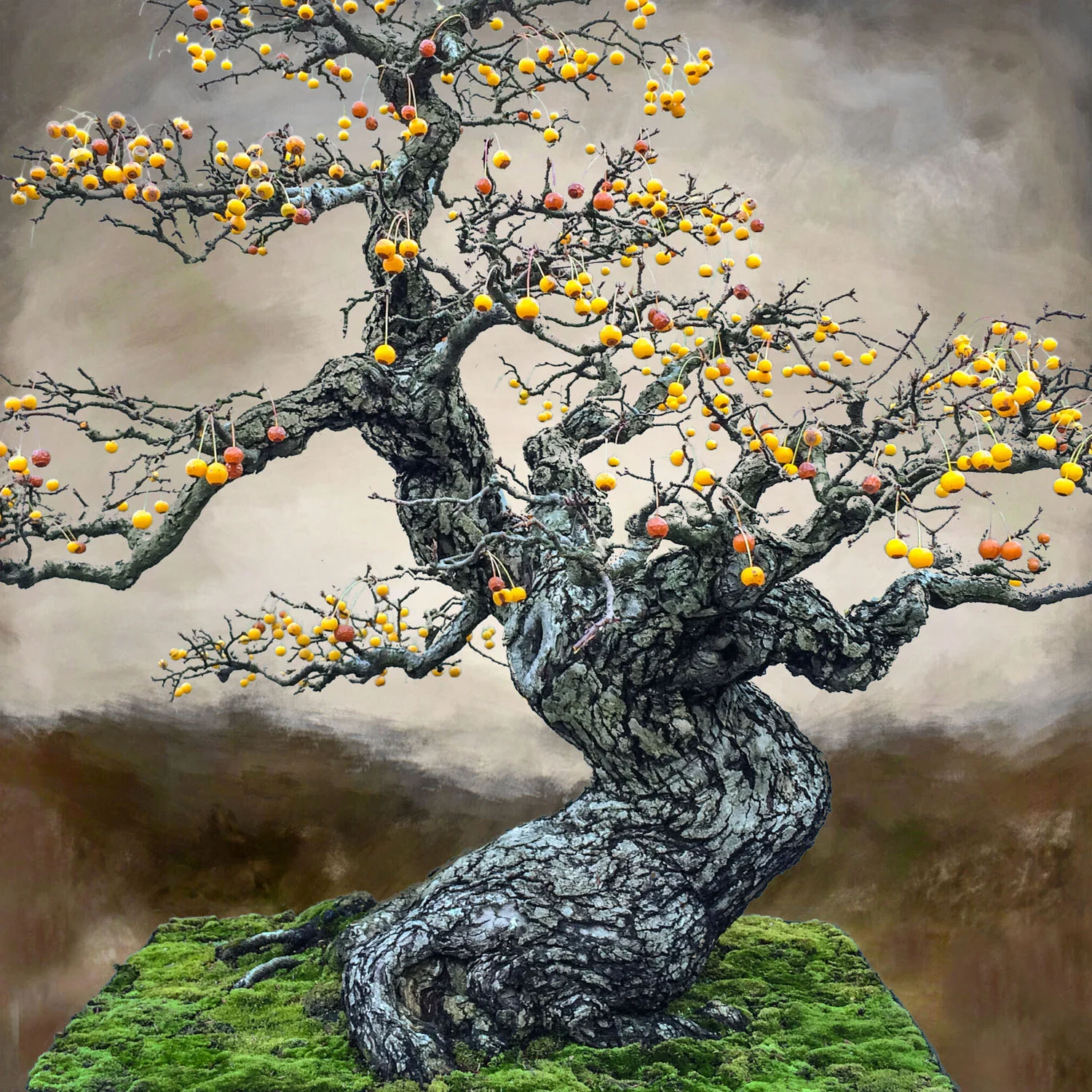 09 sep 25 2015_Floating Bonsai 1B.jpg