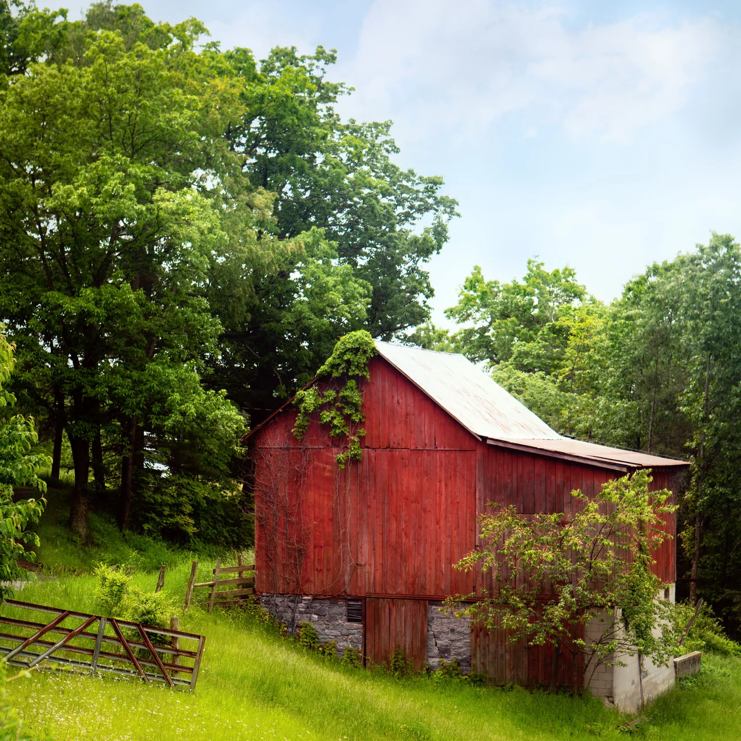 ©2012 Pamela Viola_05 may 23 2011_WV red barn I.jpg