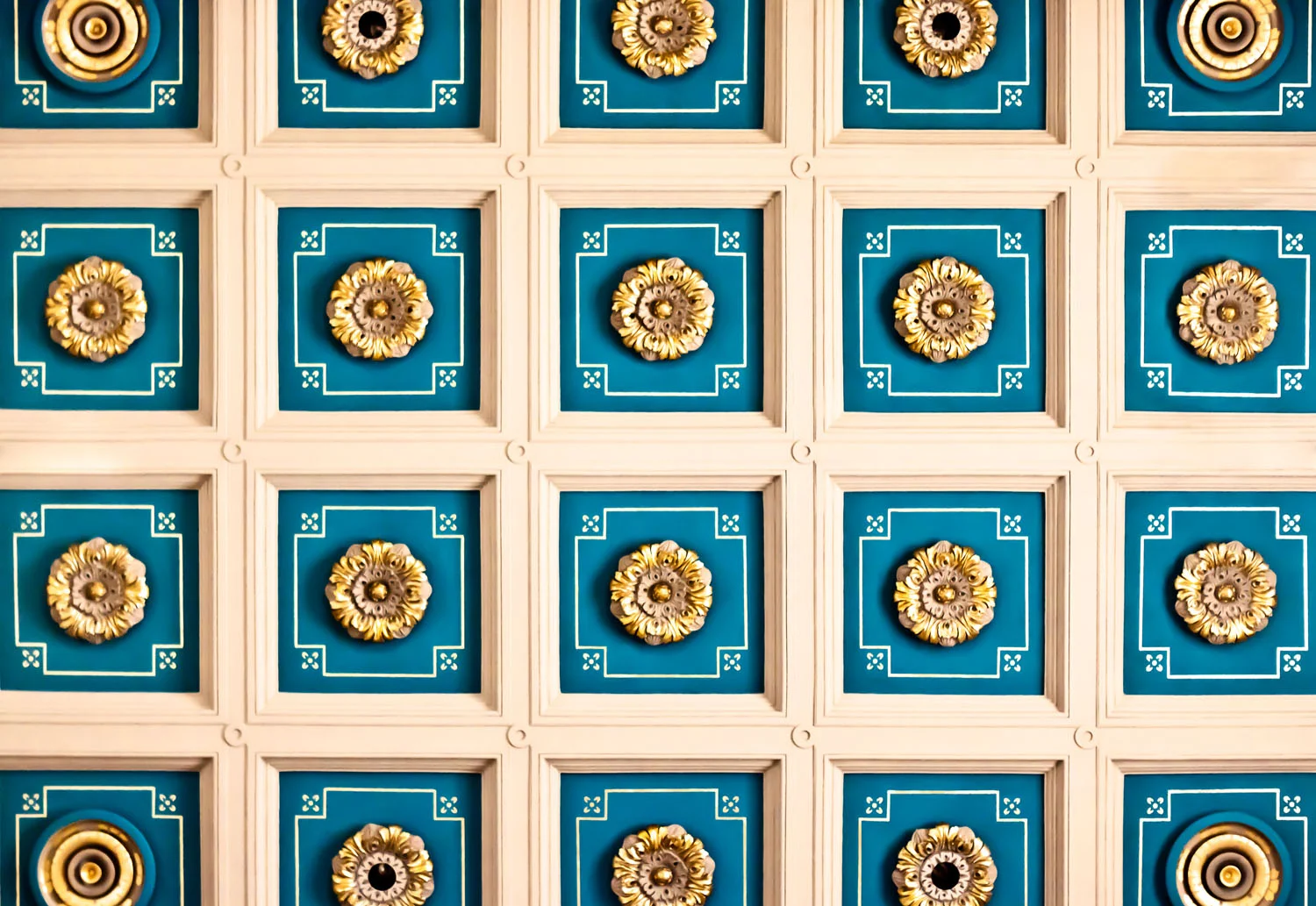 05 may 16 2011_Rosettes on Blue.jpg