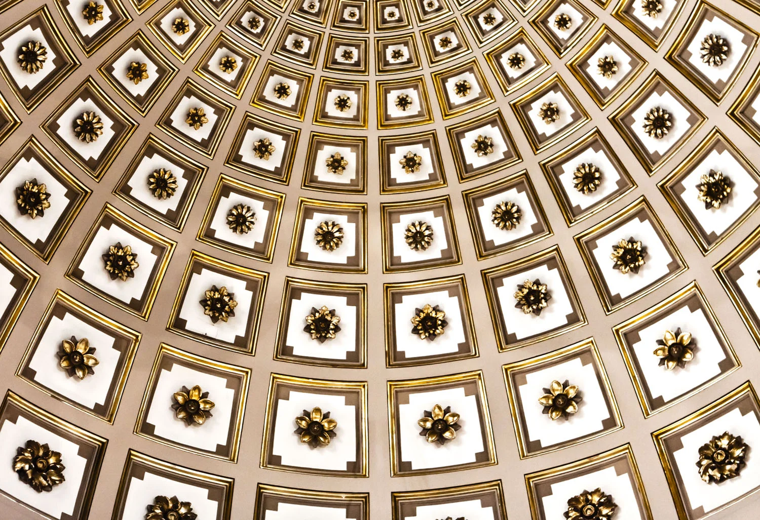 05 may 16 2011_Rotunda Rosettes.jpg