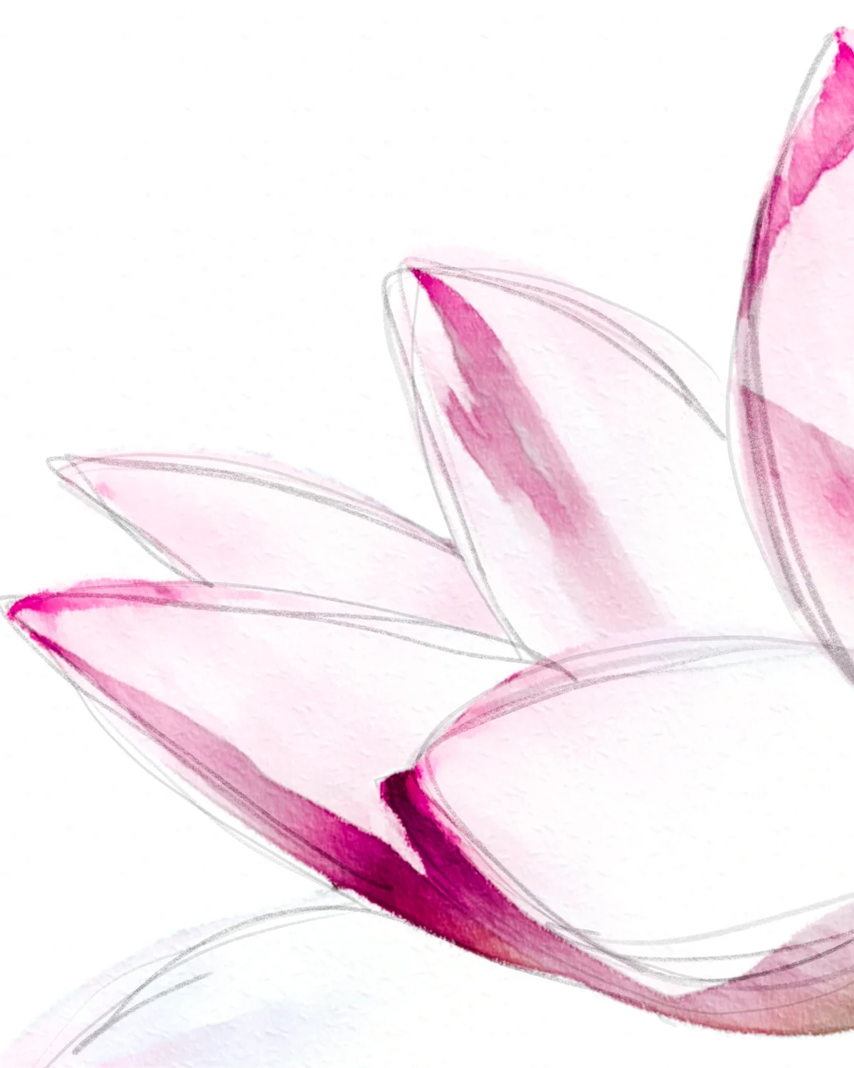 04 apr 16 2018_open hand lotus.jpg