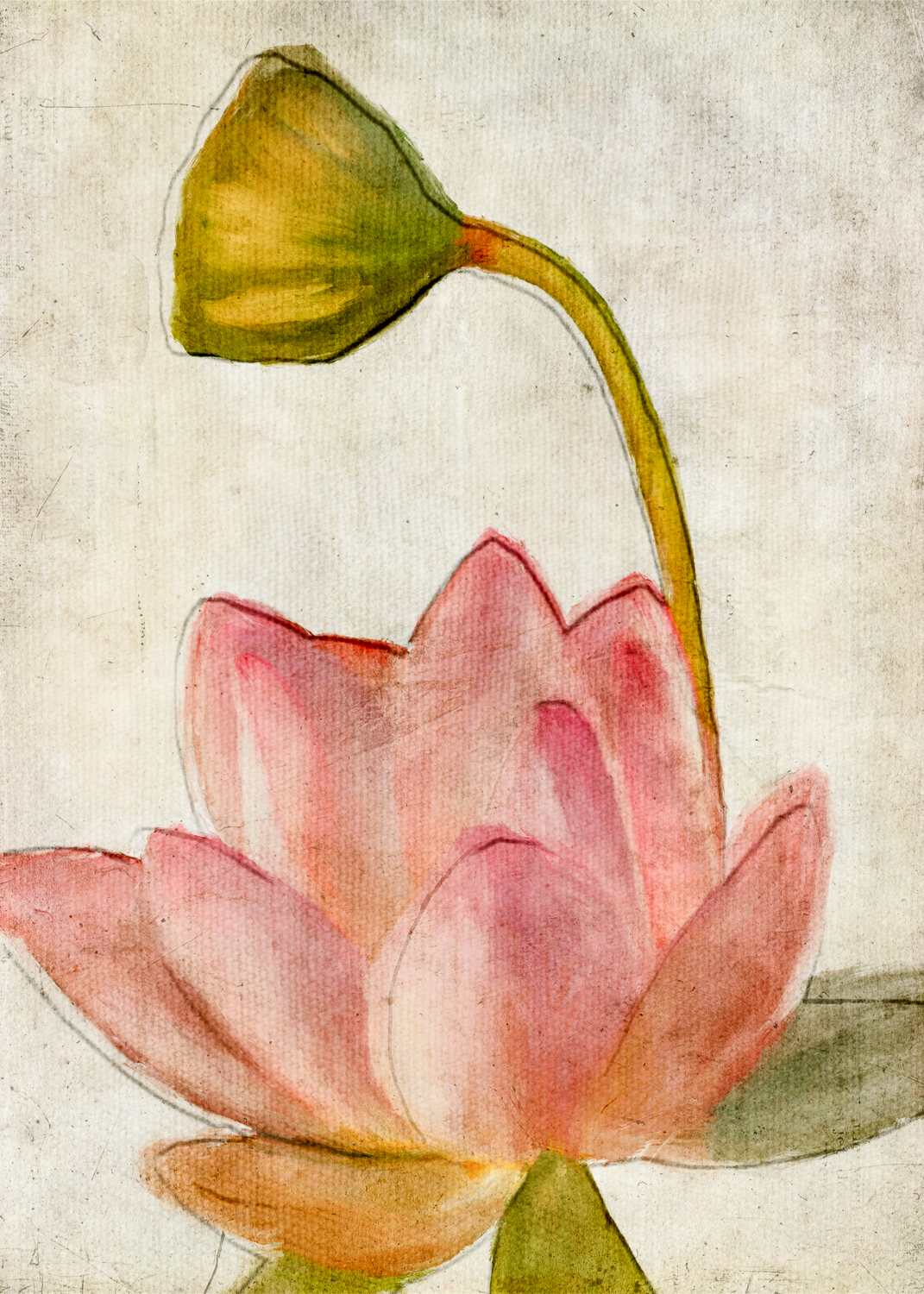 04 apr 09 2018_pink lotus with pod.jpg