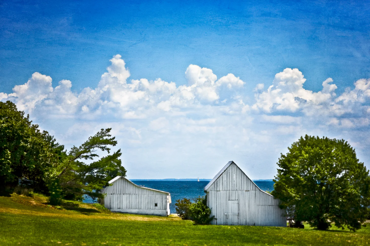 07 july 20-08_EDIT.jpg