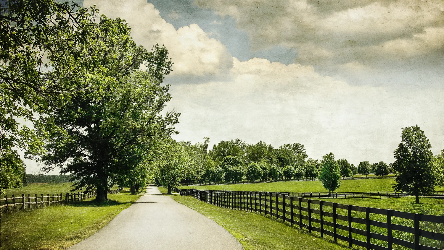 05 may 15 09_V3_endless fences_22x39_P-2.jpg
