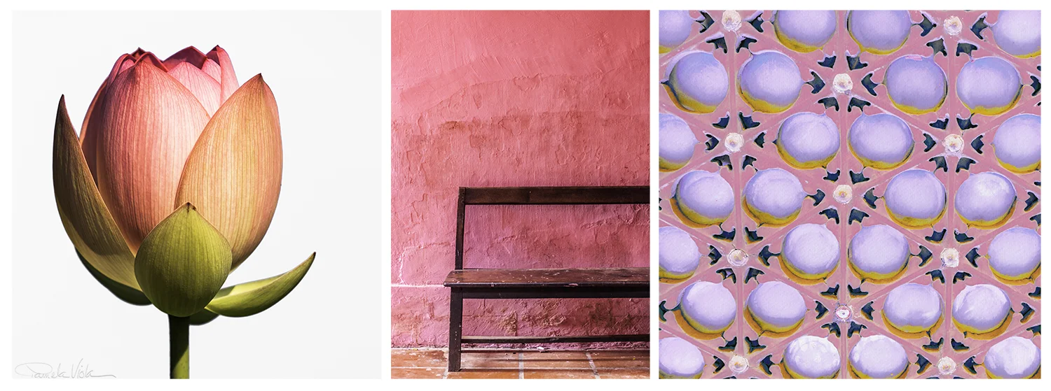 01 jan 18 2019_pink triptych.jpg