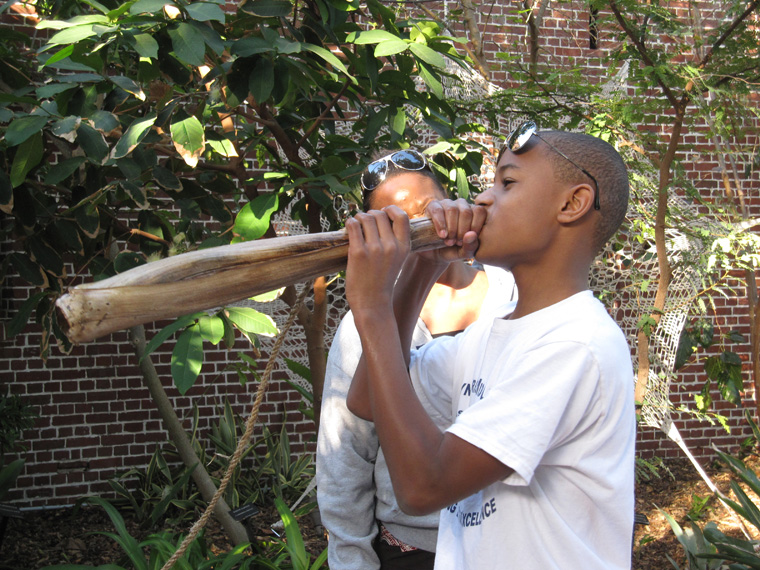  Shaped palm frond (with resins and oil) for listening to the sound various sounds of trickling water in the fountain, 20" x 4" largest diameter. 