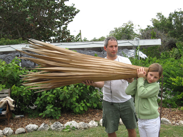  Large palm Leaf trumpet (original version), double leaf construction with split rattan interior ribs and reinforcement with palm fiber and sponge, sealed with oils and resins, 67" L x 16" largest diameter.&nbsp;  Child listening, aided by friend. 