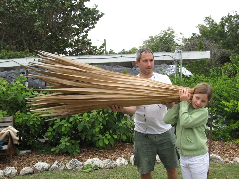 Large palm Leaf trumpet (original version), double leaf construction with split rattan interior ribs and reinforcement with palm fiber and sponge, sealed with oils and resins, 67" L x 16" largest diameter. Child listening, aided by friend.