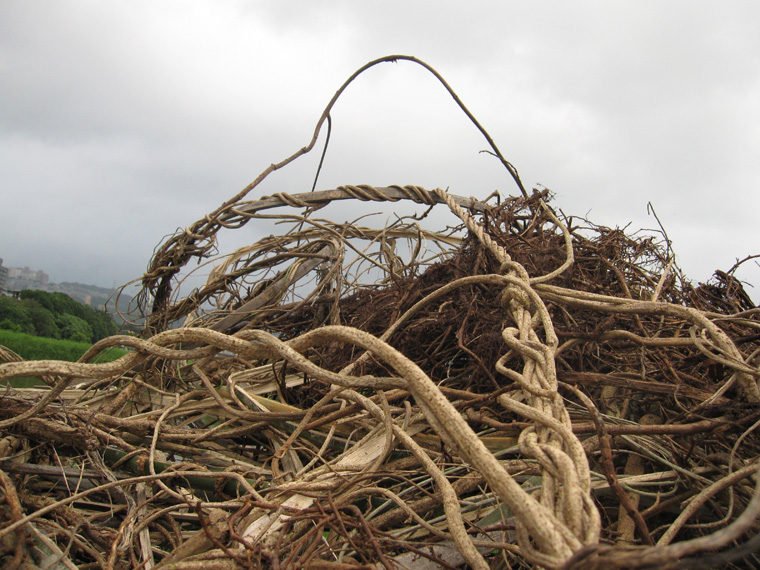  Detail of the tangle. 