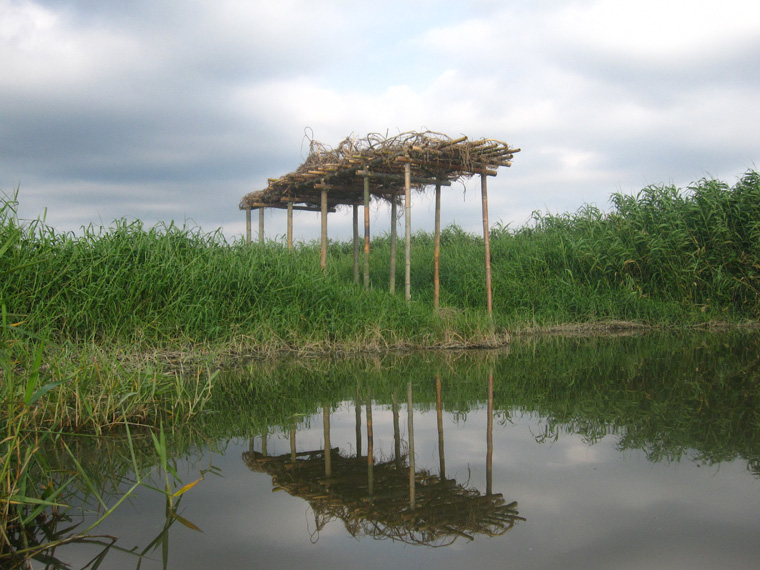  View from pond. 