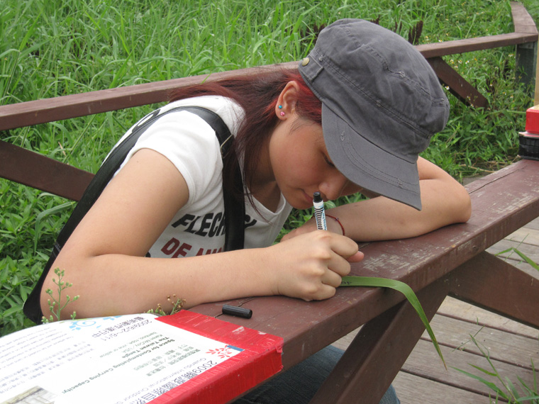  Visitors writing on reed leaves. 