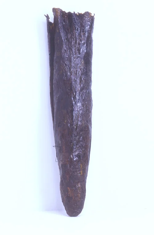 SAC: SELF PORTRAIT 1998-99 Kelp, glue, felt, beeswax, 5'5" x 18" x 9".