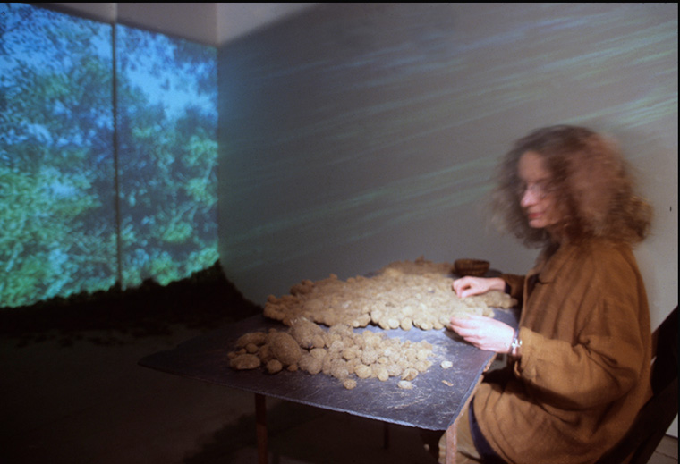  Installation and action with worktable, posidonie (eroded seaweed roots collected in southern France), sewing the seaweed into a textile; video projection which alternates between footage shot in France where the posidonie was collected and in Kansa