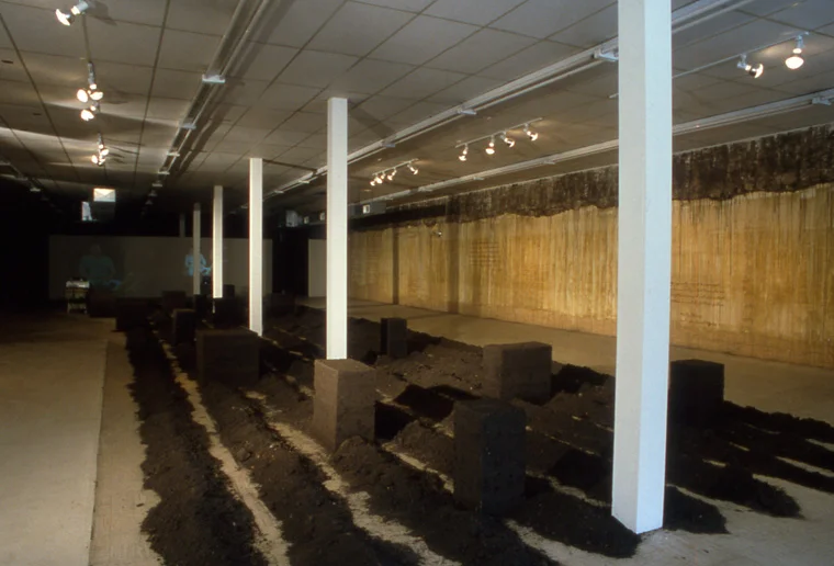 View of walls stained with local pigments and lettered with text (see attached ), earth furrows and rammed earth solids, 2,000 square feet.