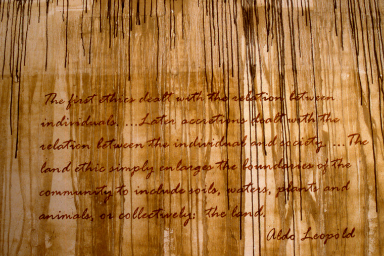  View of walls stained with local pigments and lettered with text from Aldo Leopold. 