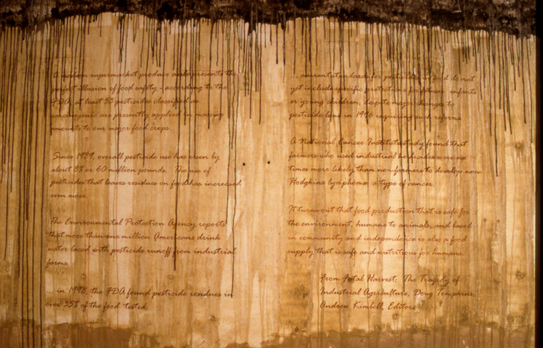  View of walls stained with local pigments and lettered with text from  Fatal Harvest,  into Doug Tompkins. 