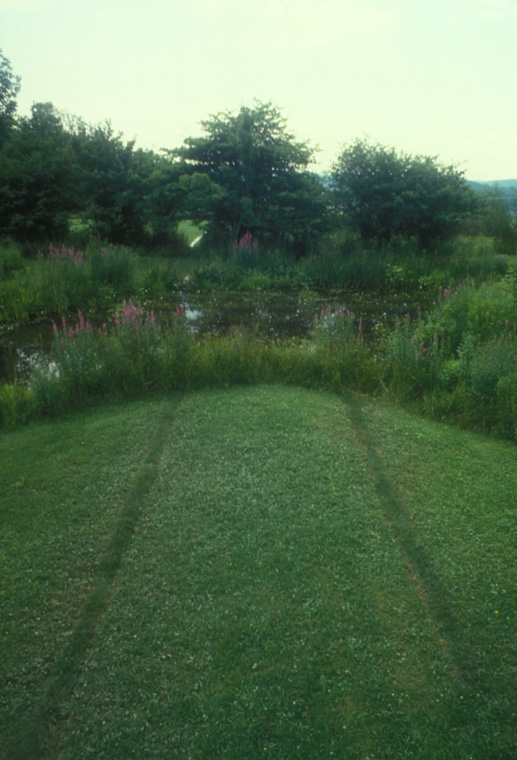  Lines of Kentucky blue-grass sod embedded in the variegated lawn, extending grid in pond, each line show 9”x15’. 